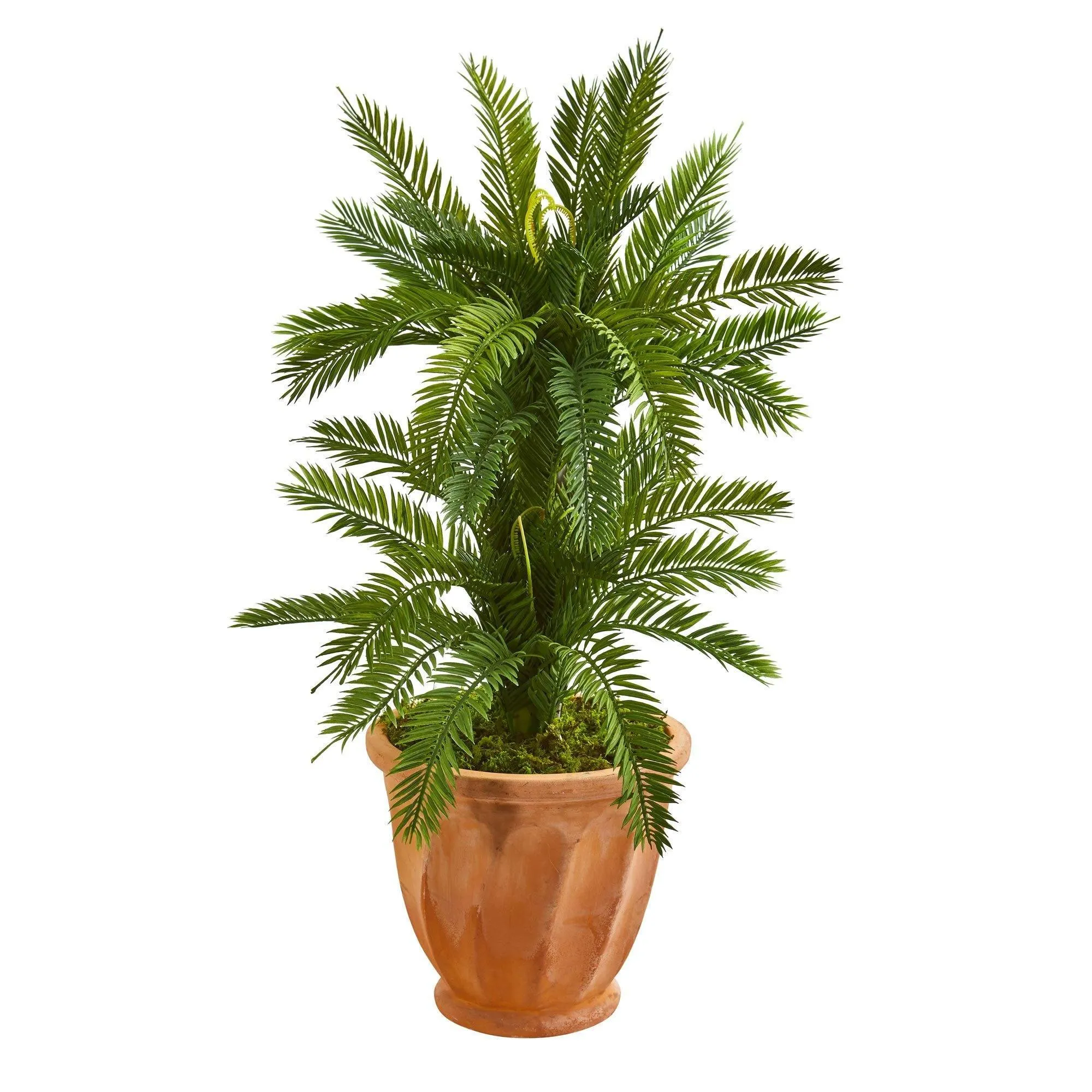 3’ Double Cycas Artificial Plant in Terra Cotta Planter