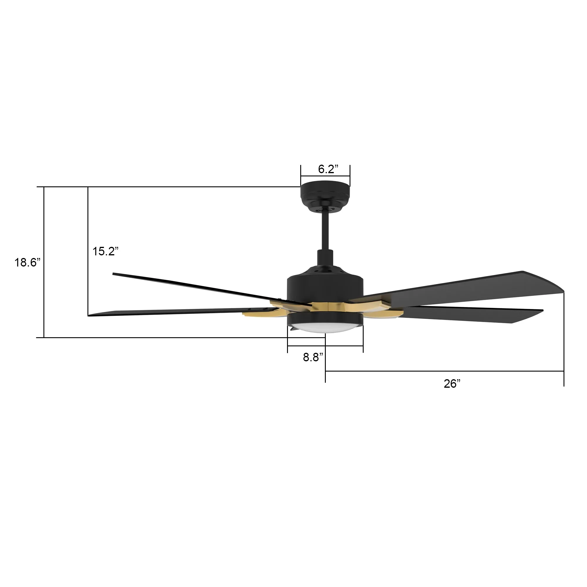 APPLETON 52 inch 5-Blade Smart Ceiling Fan with LED Light Kit & Remote Control- Black/Black (Gold Detail)