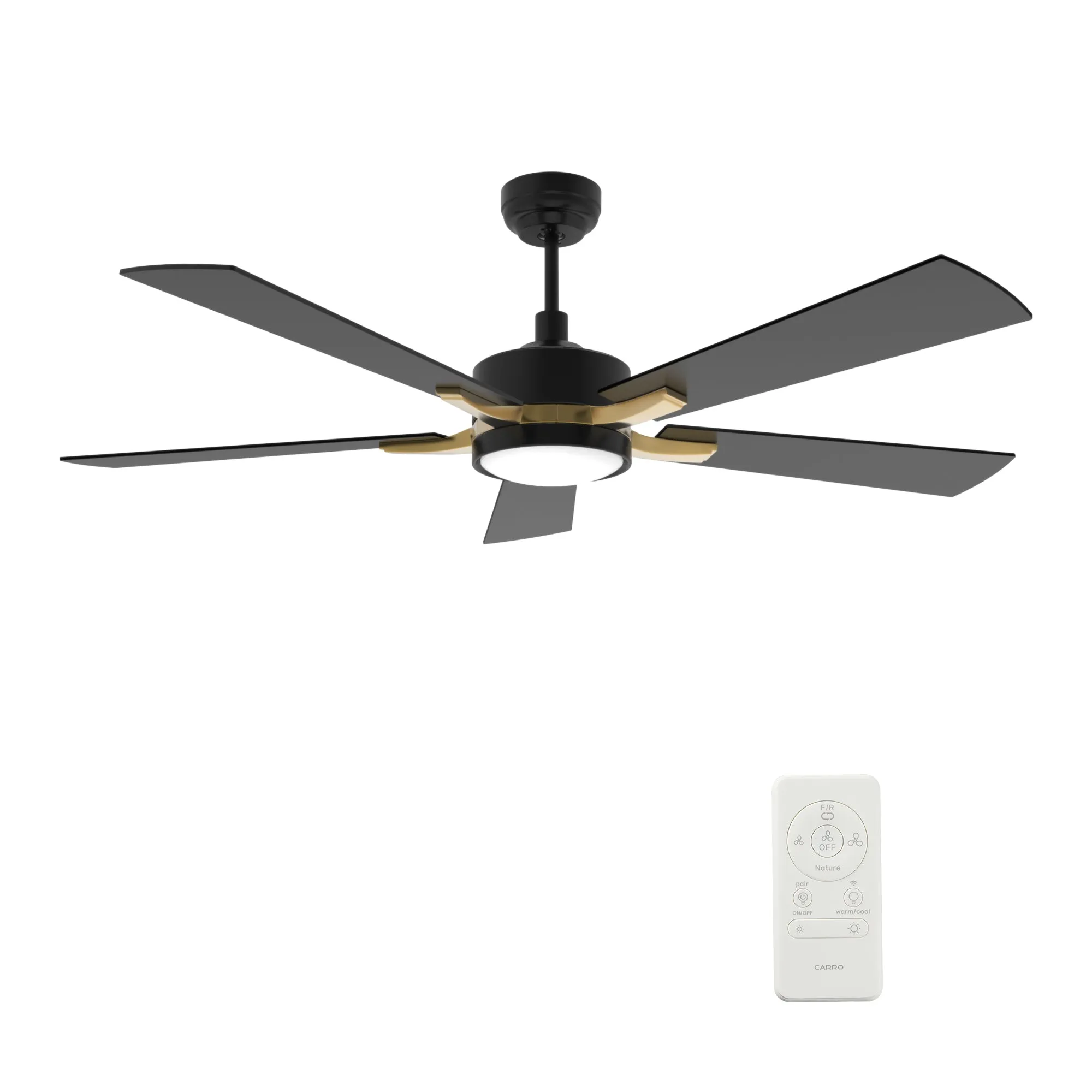 APPLETON 52 inch 5-Blade Smart Ceiling Fan with LED Light Kit & Remote Control- Black/Black (Gold Detail)