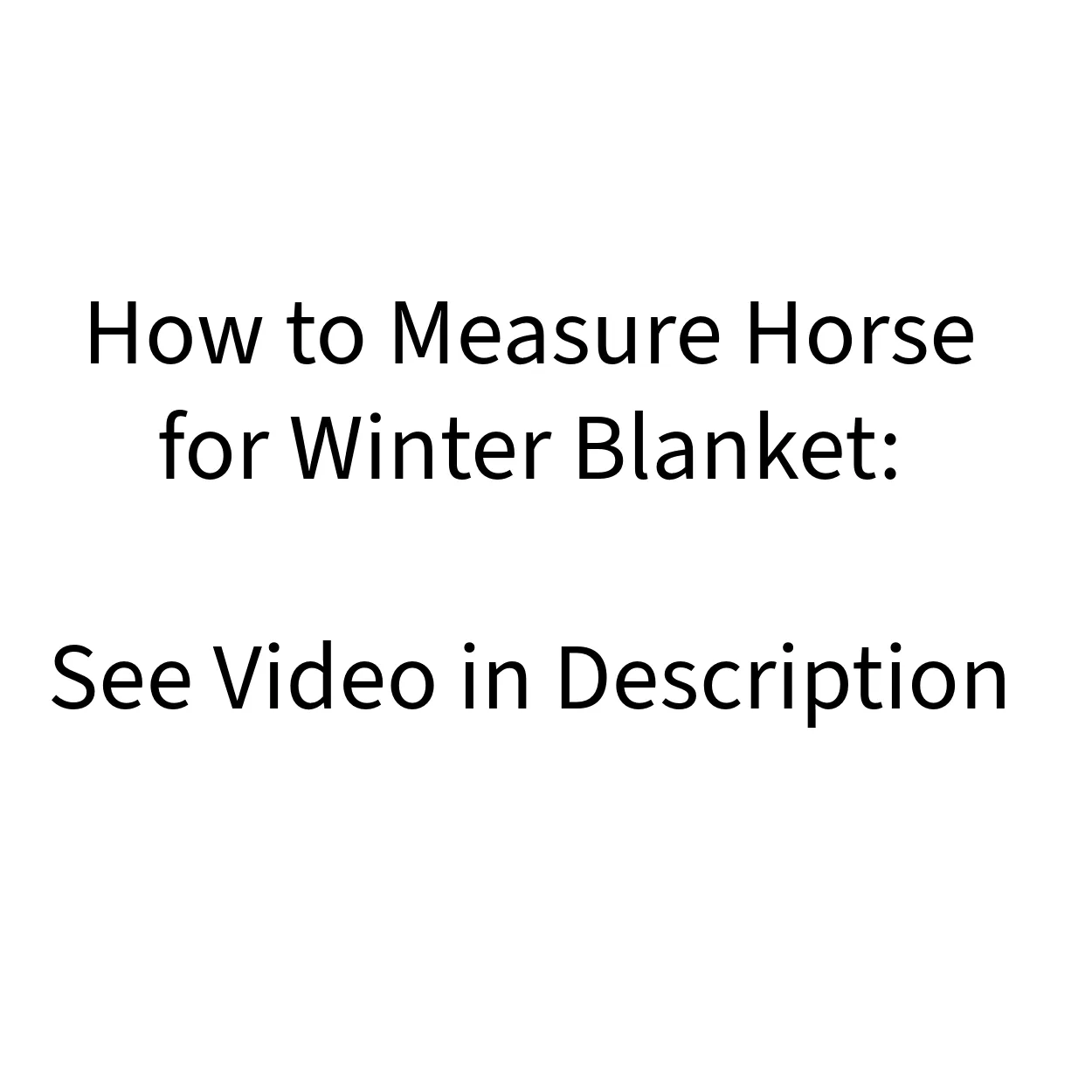 Derby Originals Wind Storm Closed Front 420D Medium Weight Winter Mini Horse Pony Stable Blanket 200g