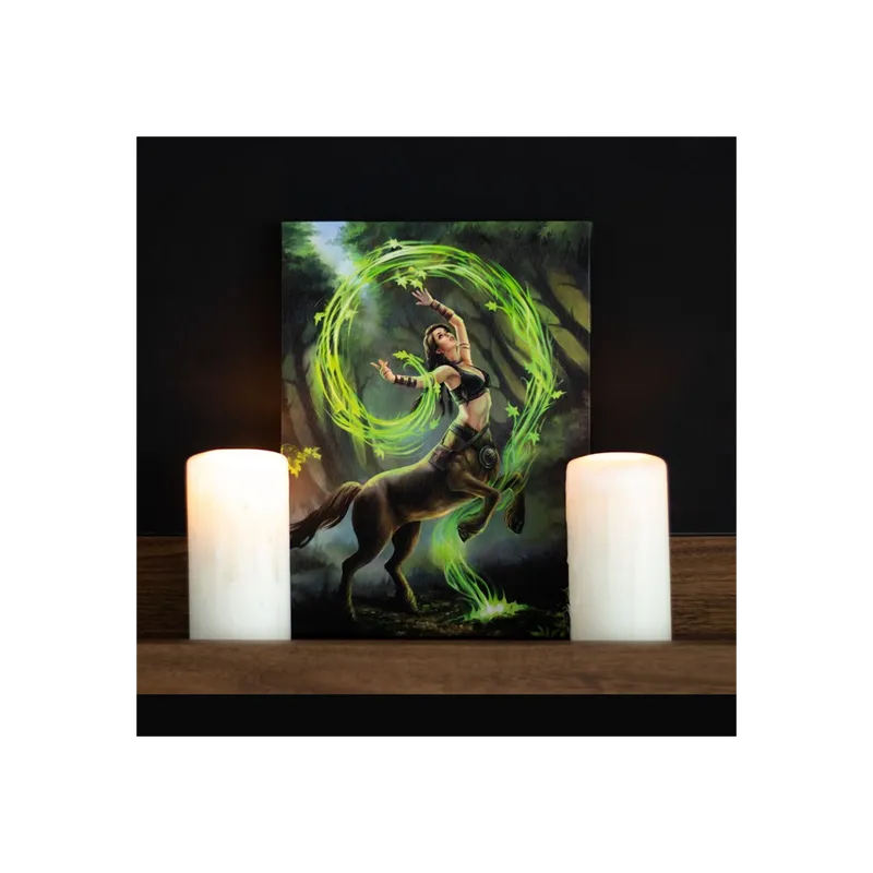 Enchanting 19x25cm Earth Element Sorceress Canvas Plaque by Anne Stokes | Elemental Magic Art