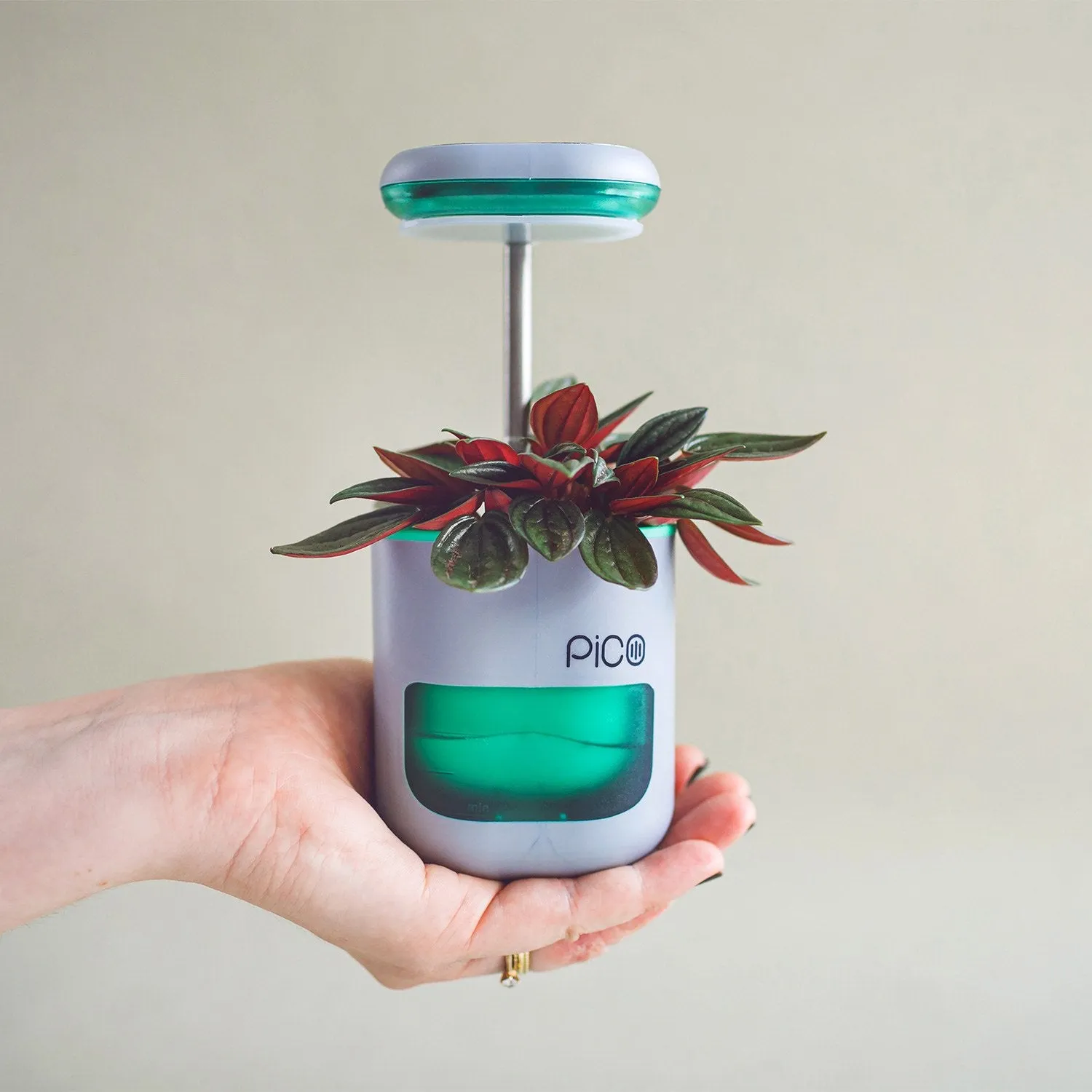 PICO Smart Indoor Garden