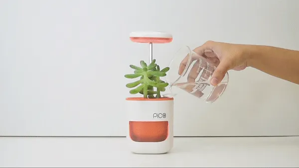 PICO Smart Indoor Garden